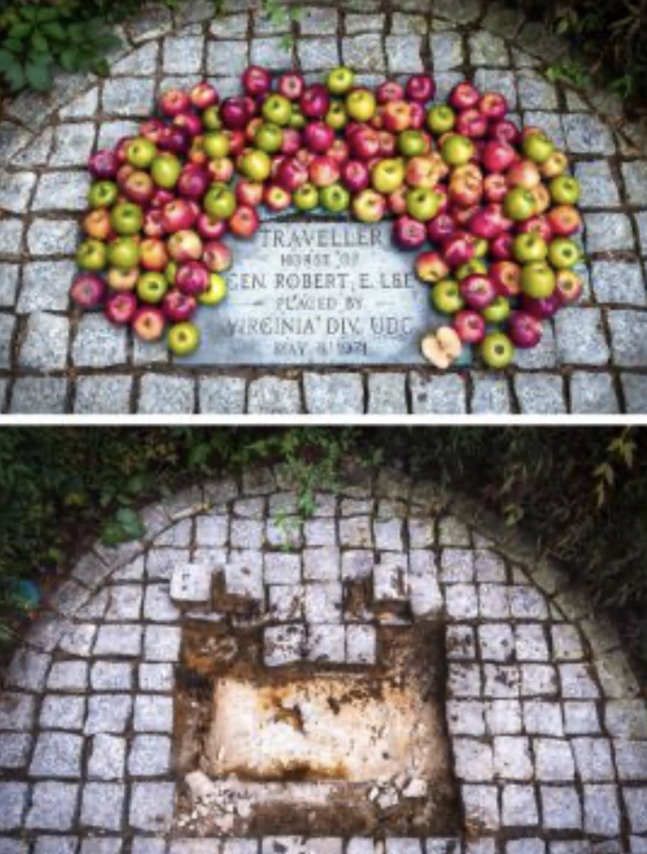 FischerKing64's tweet image. On Robert E. Lee’s birthday, I want to remind you he became President of Washington College after the Civil War. His prestige saved the outfit. Then in 2023, during the height of woke, the ungrateful pieces of garbage who now run the university desecrated the grave of his horse.