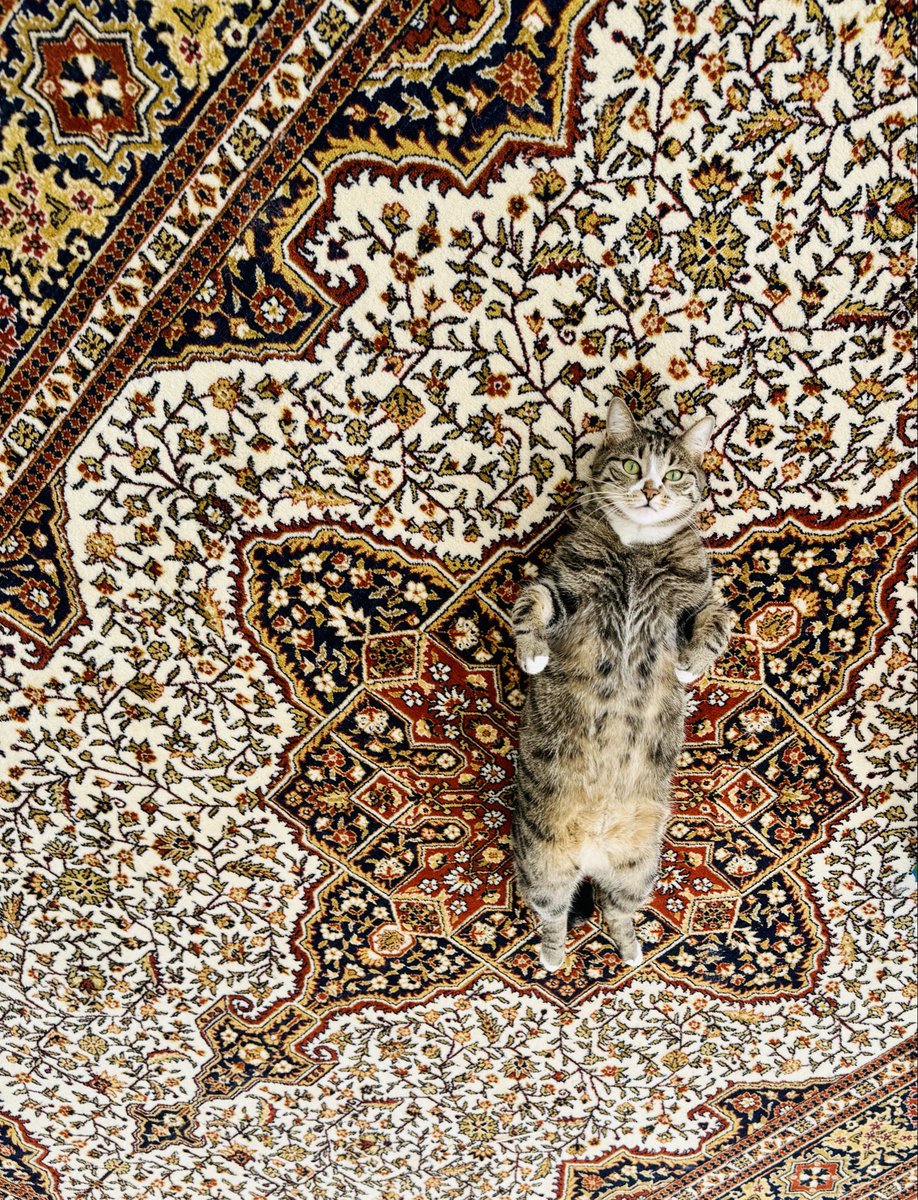 Arpia84's tweet photo. Bu dünya ne sana ne de bana kalmaz... Sultan Neşe ye kalabilir ama... https://t.co/uylwXOYdQy