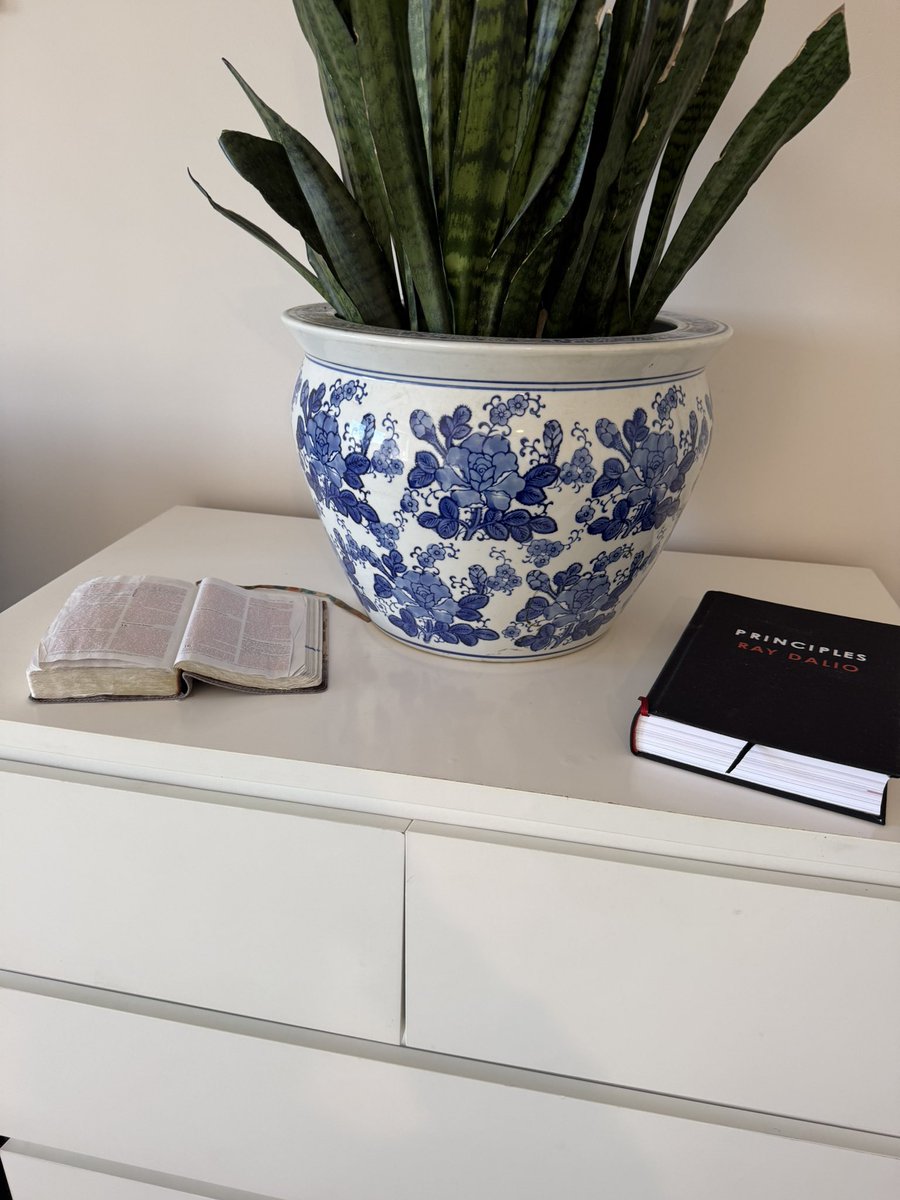 Trekeitheon Mitchell tweet media