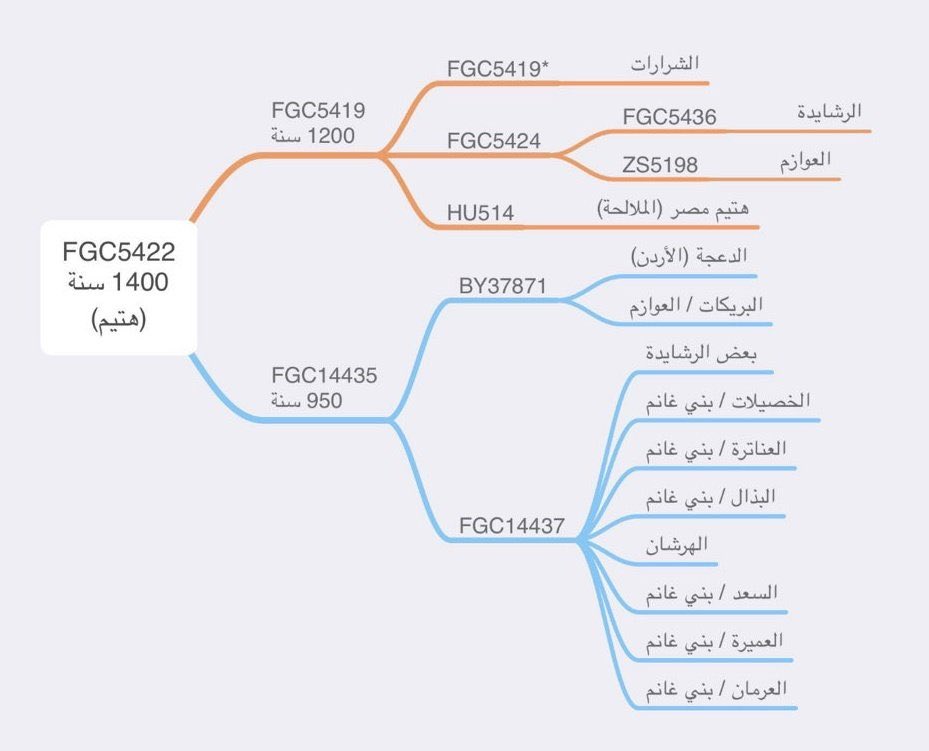 بالغ الشكر لمن رسم هذه المشجرة