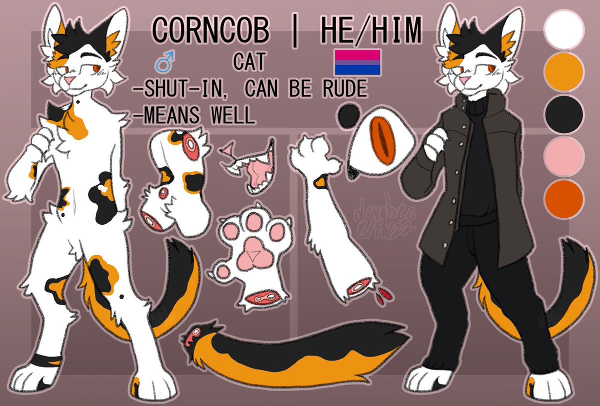 reddit bisexual cat tweet media