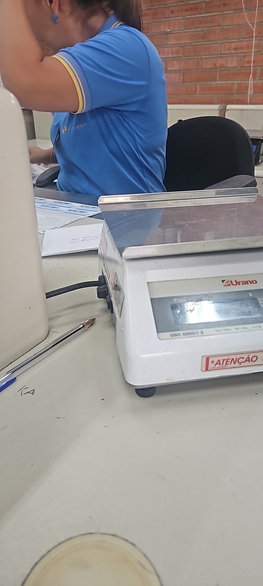 lilo ☀️ tweet media