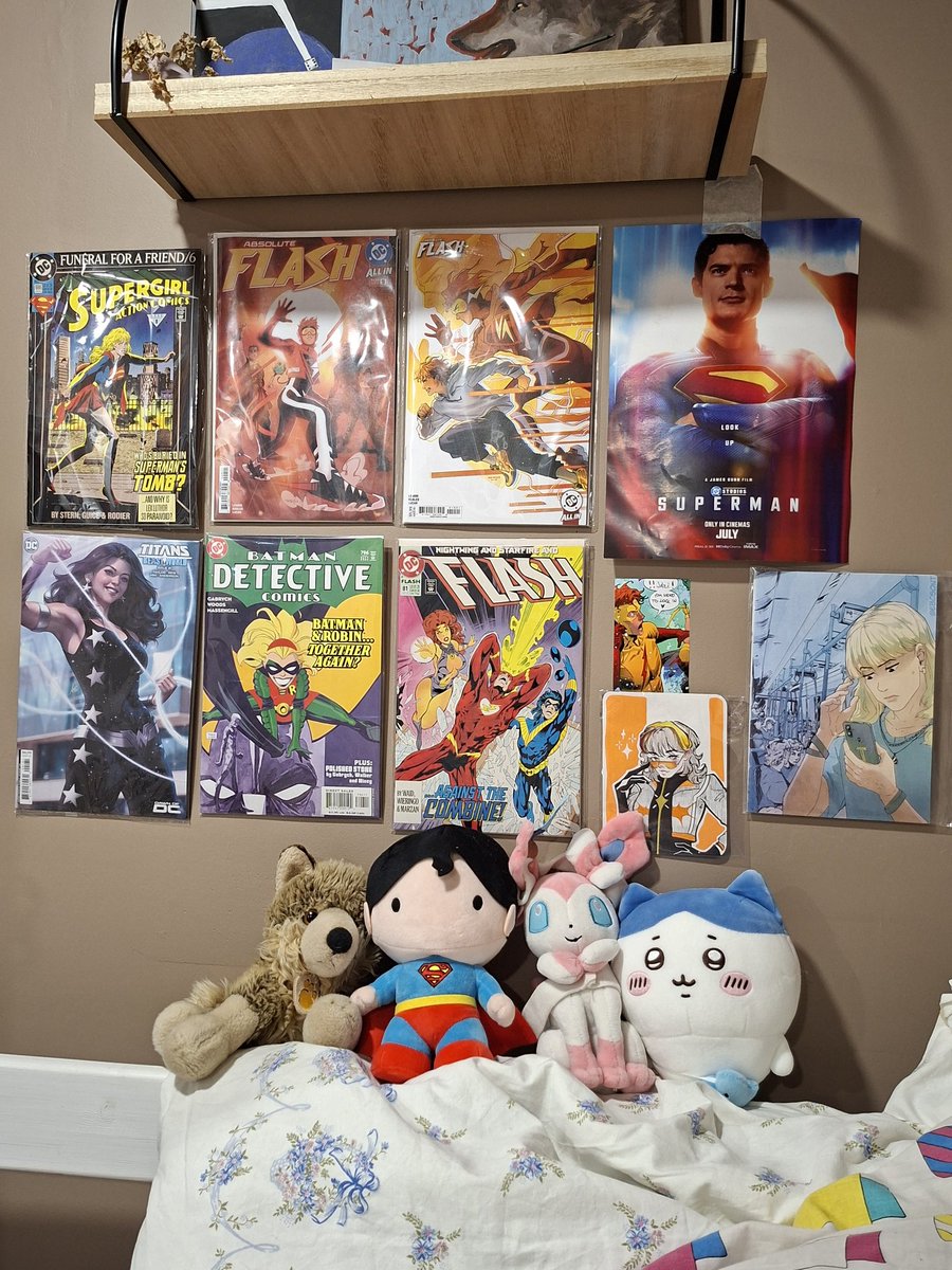 My feminist literature wall