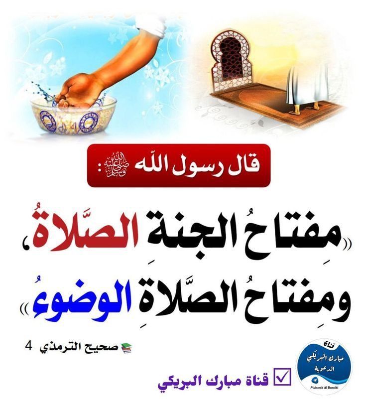 shith63's tweet image. 