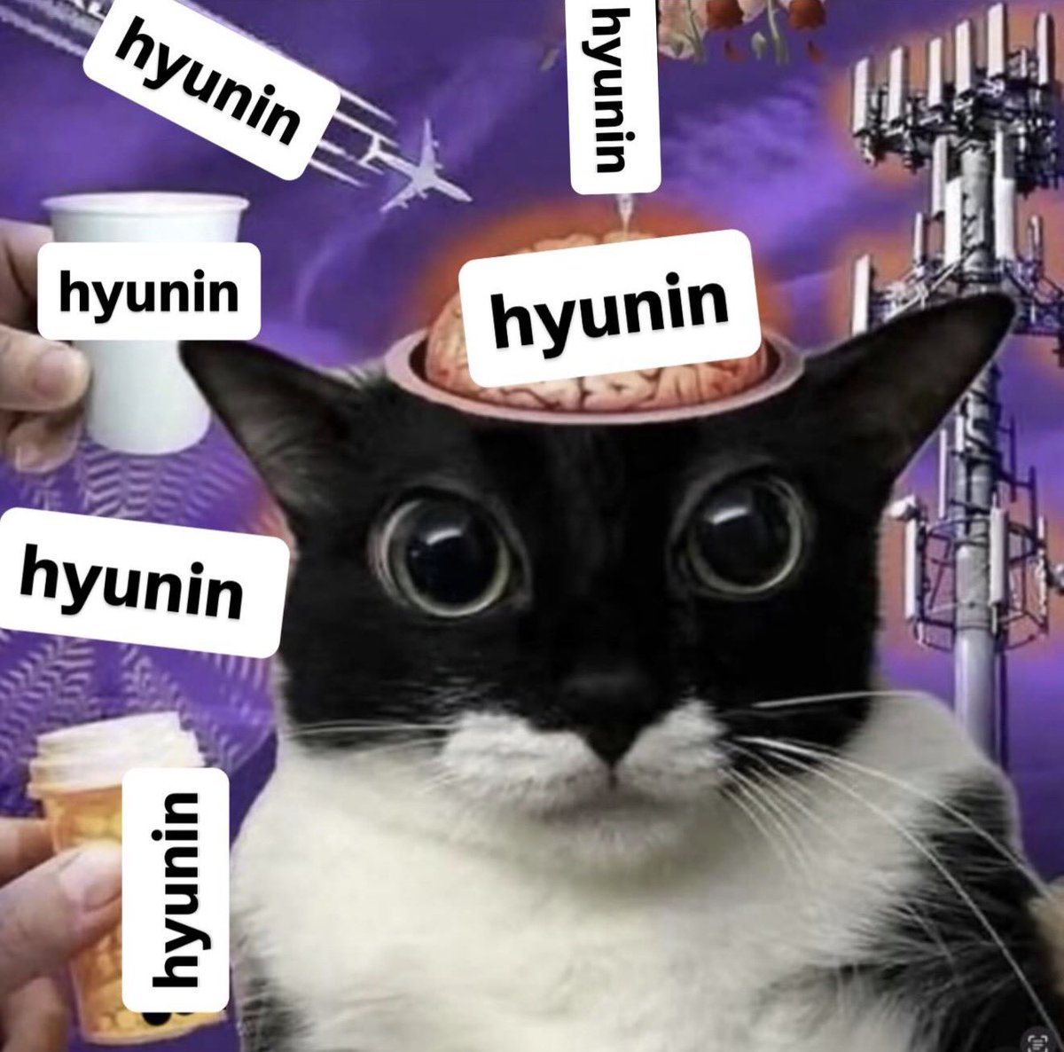 arirangs lesbian defender ☯︎ (@arirangiz) on Twitter photo 