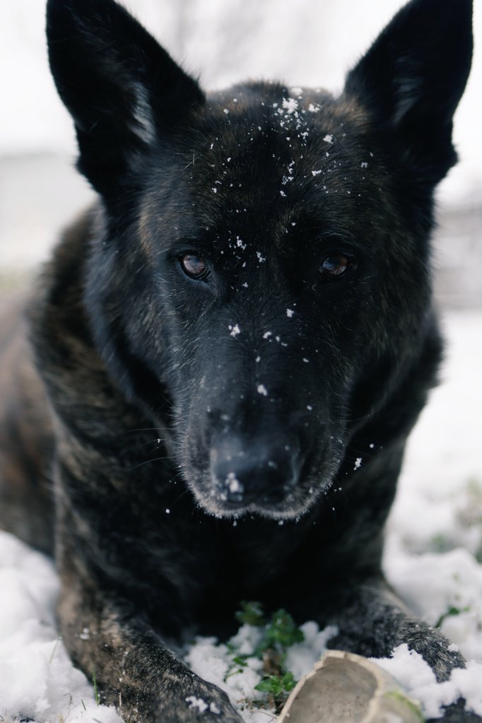 NightLightKnight tweet media