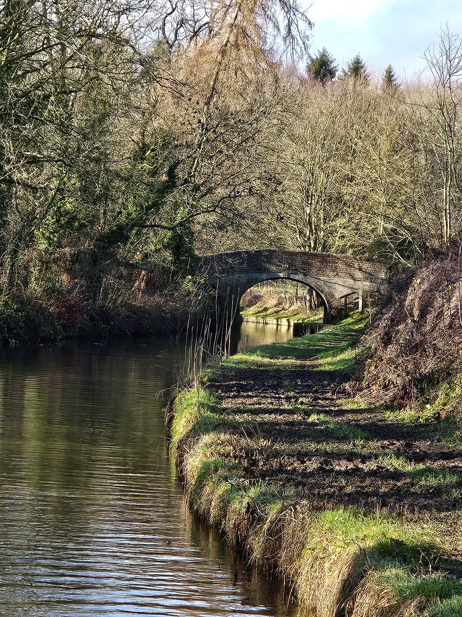 #BoatingMondays Went almost 4 miles this week!! From Ellesmere past the waving skeletons again on our way to the Prees Junction. #BearsAfloat #electricboats #boatsthattweet #LlangollenCanal