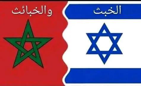 Papillons 85 tweet media