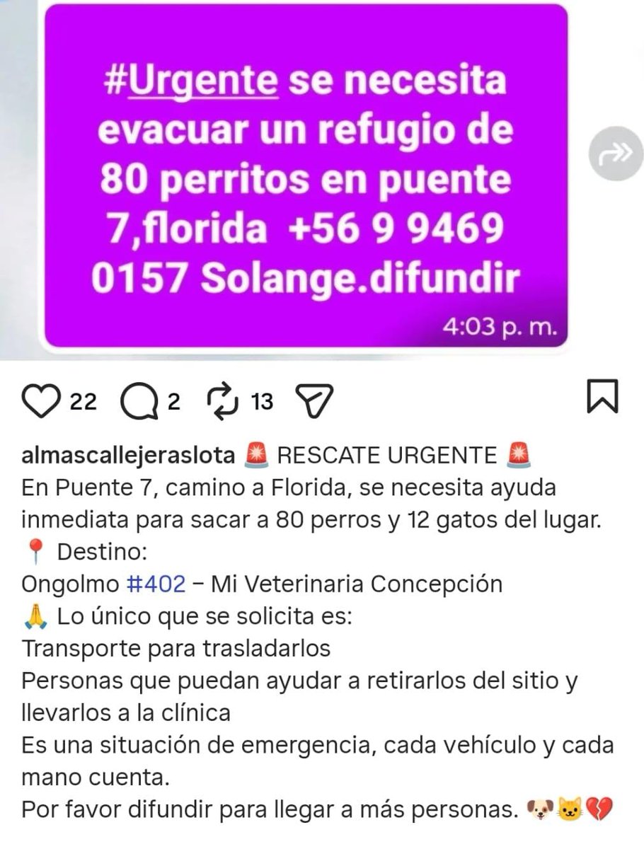 Se necesita 🆘urgente transporte para evacuar un refugio de animales. Son 80 perritos y 12 gatos. Se necesitan autos y voluntarios.  Sector puente 7  #Florida Información al número de contacto de la publicación. Ayuda con un RT #Biobio #incendio #Lirquén