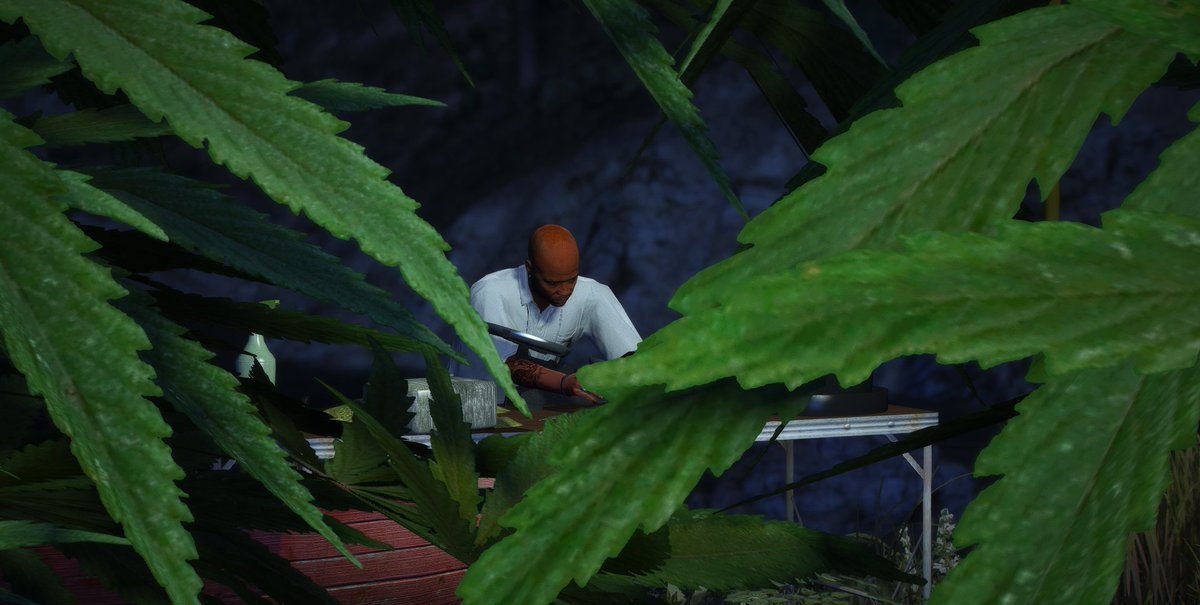 NOUVEAUTE : Plantation de Weed 🌱

Nous introduisons un tout nouveau système de plantation entièrement revu pour offrir une expérience plus libre, plus réaliste et surtout beaucoup plus immersive !

Plus d'informations sur notre Discord !💎