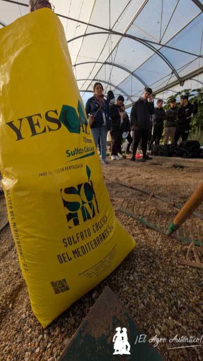 jaarcossanchez's tweet photo. 🆙 El triángulo perfecto: EFA Campomar, Lupión y Rodríguez y Sulfato Cálcico
📝https://t.co/nyD7Jrwzwt
📌¿Conoces el #yeso agrícola y sus propiedades sobre la #agricultura?
📌Ensayos en el #invernadero experimental de #EFACampomar en Roquetas de Mar
#Almeria #Yescal #formacion