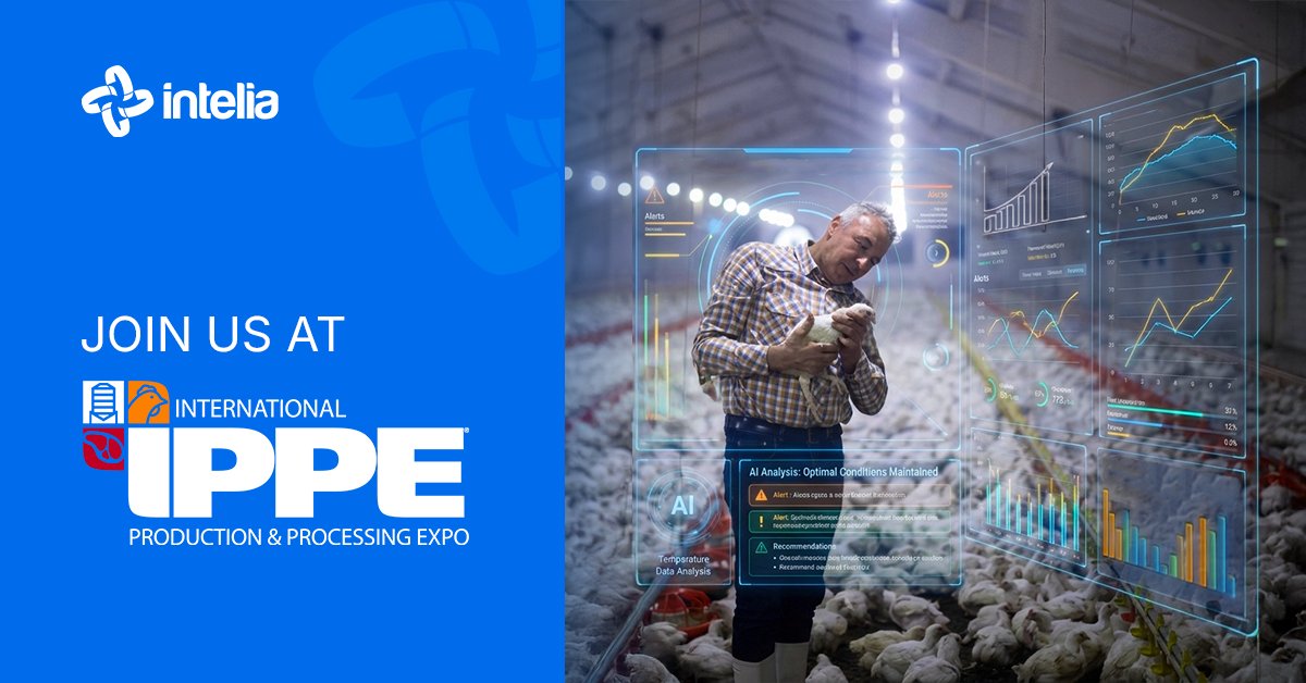 intelia.com tweet media