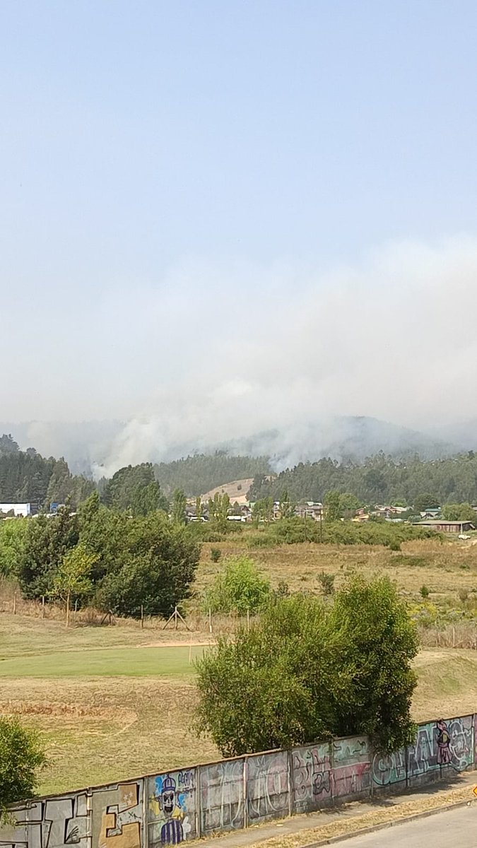 AHORA - BIOBÍO 🔥 Incendio forestal bajando por los cerros en dirección a los sectores Villa Universitaria, Villa Concepción y Vilumanque. Se ha enviado alerta SAE para evacuar.