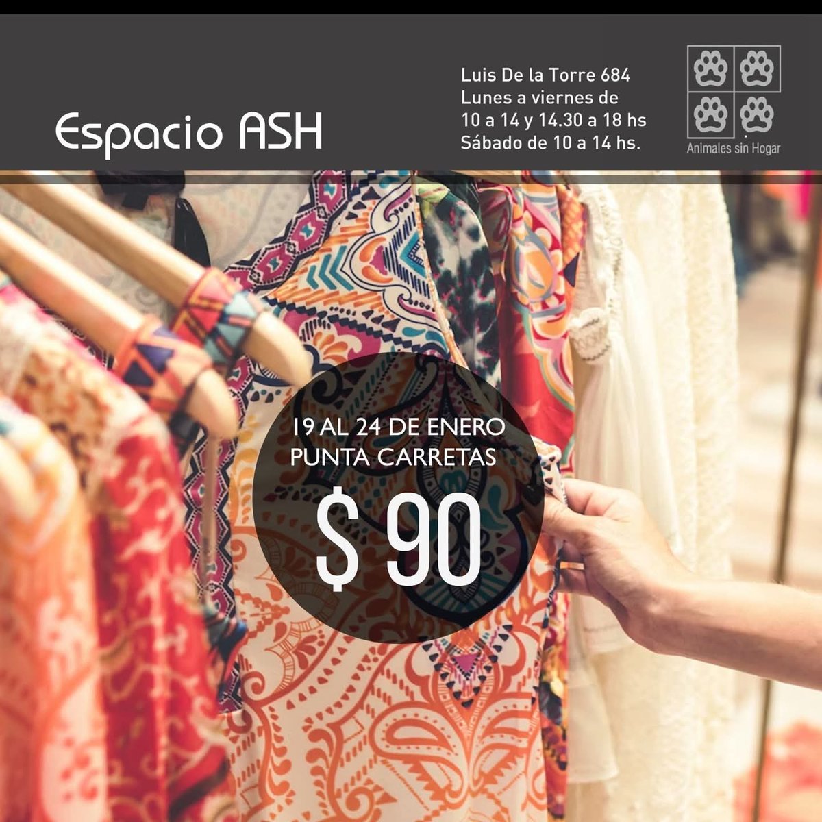 Animales sin Hogar tweet media