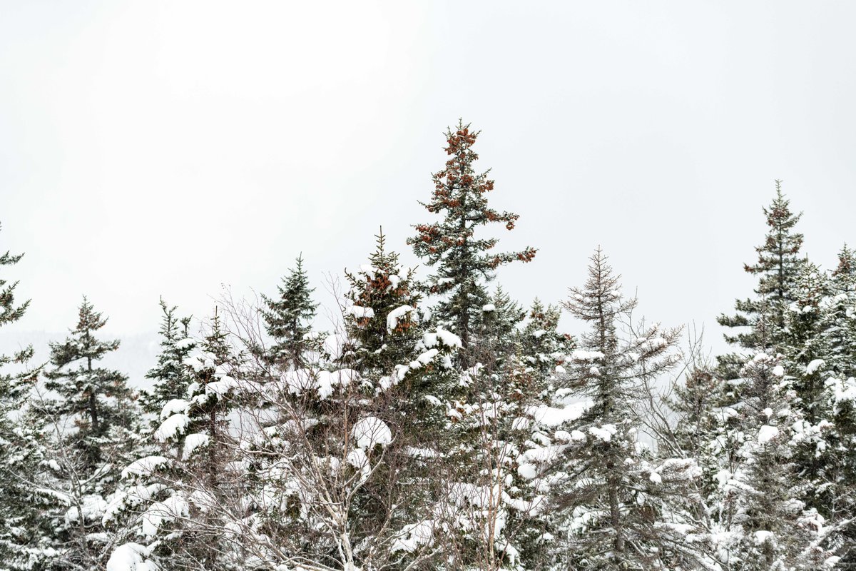 sundayriver's tweet image. Monday refresh