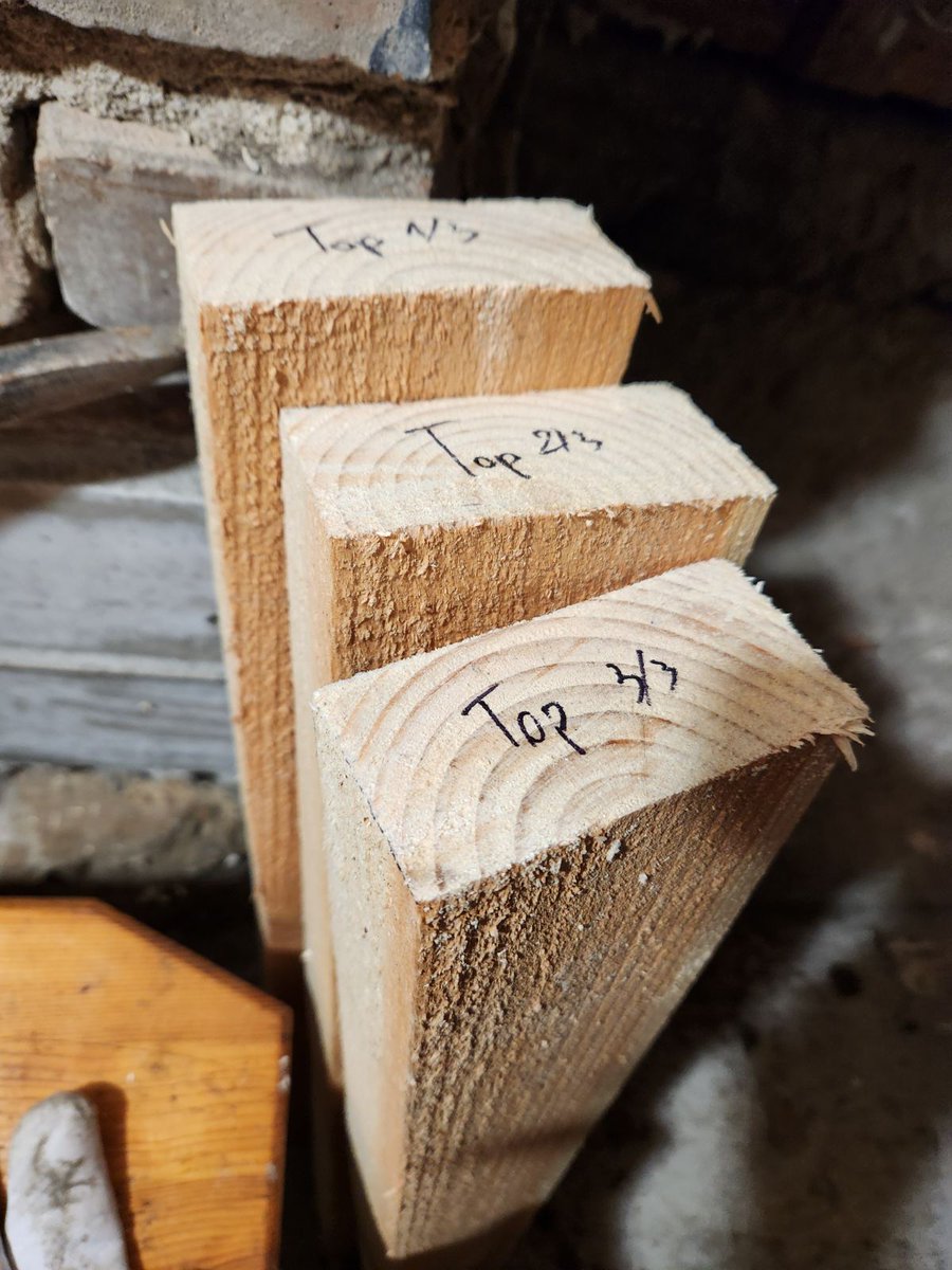 Kalansus 🍙 tweet media