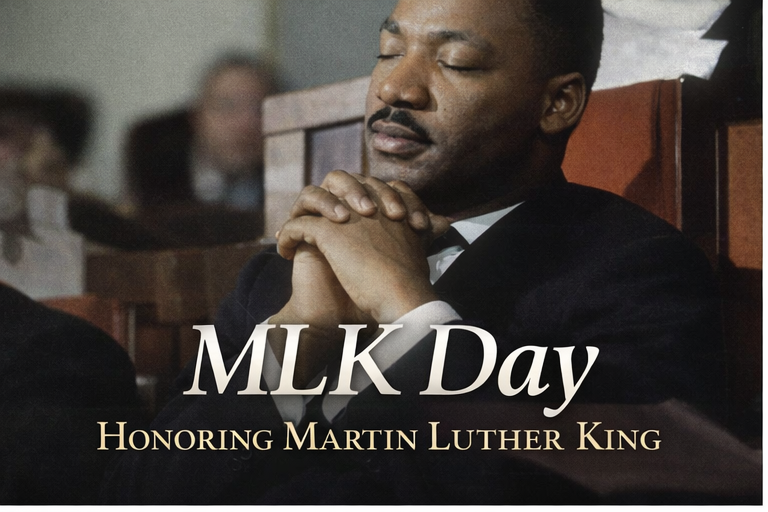 Shane Abbott tweet media