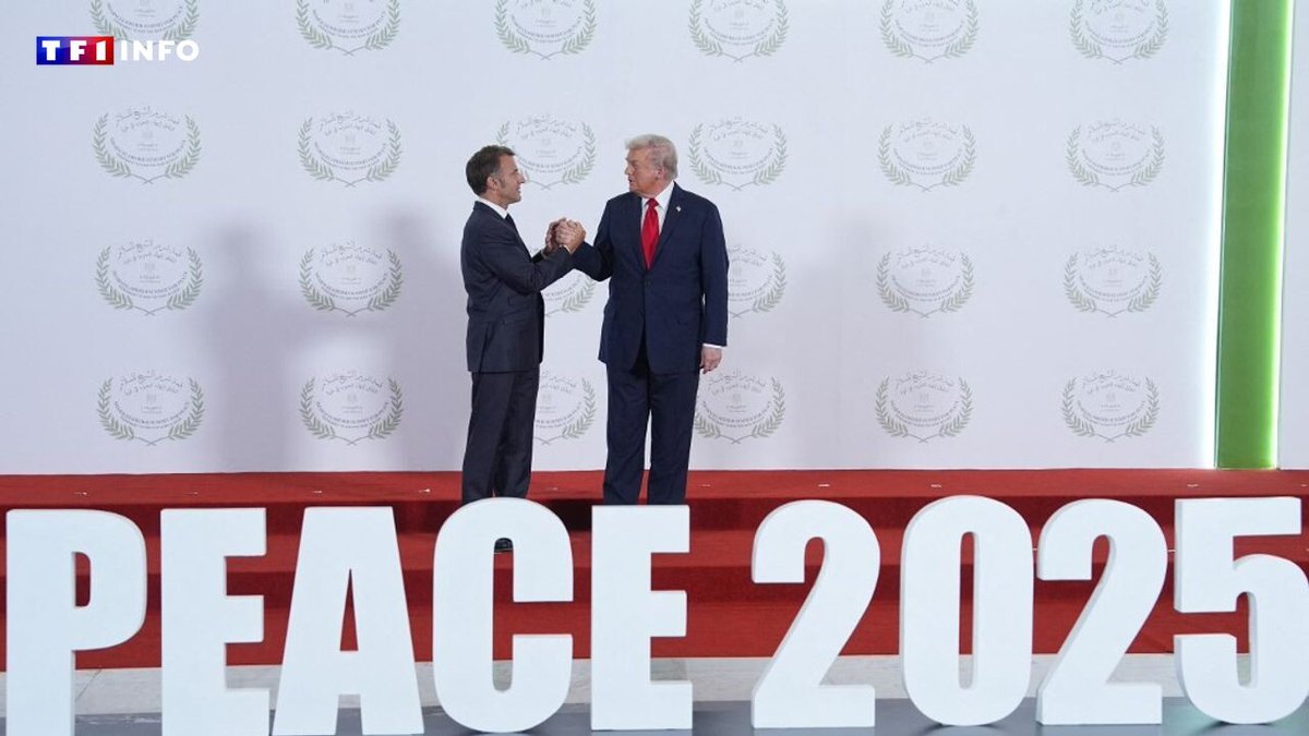 La France n’entend pas rejoindre le "Conseil de paix" proposé par Trump | TF1 Info
➡️ l.tf1info.fr/eGk