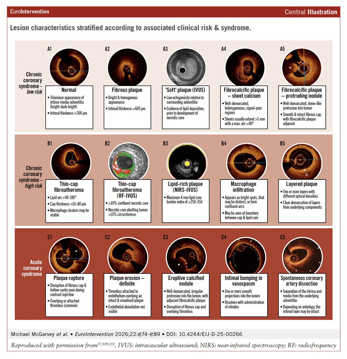 Davide Capodanno tweet media