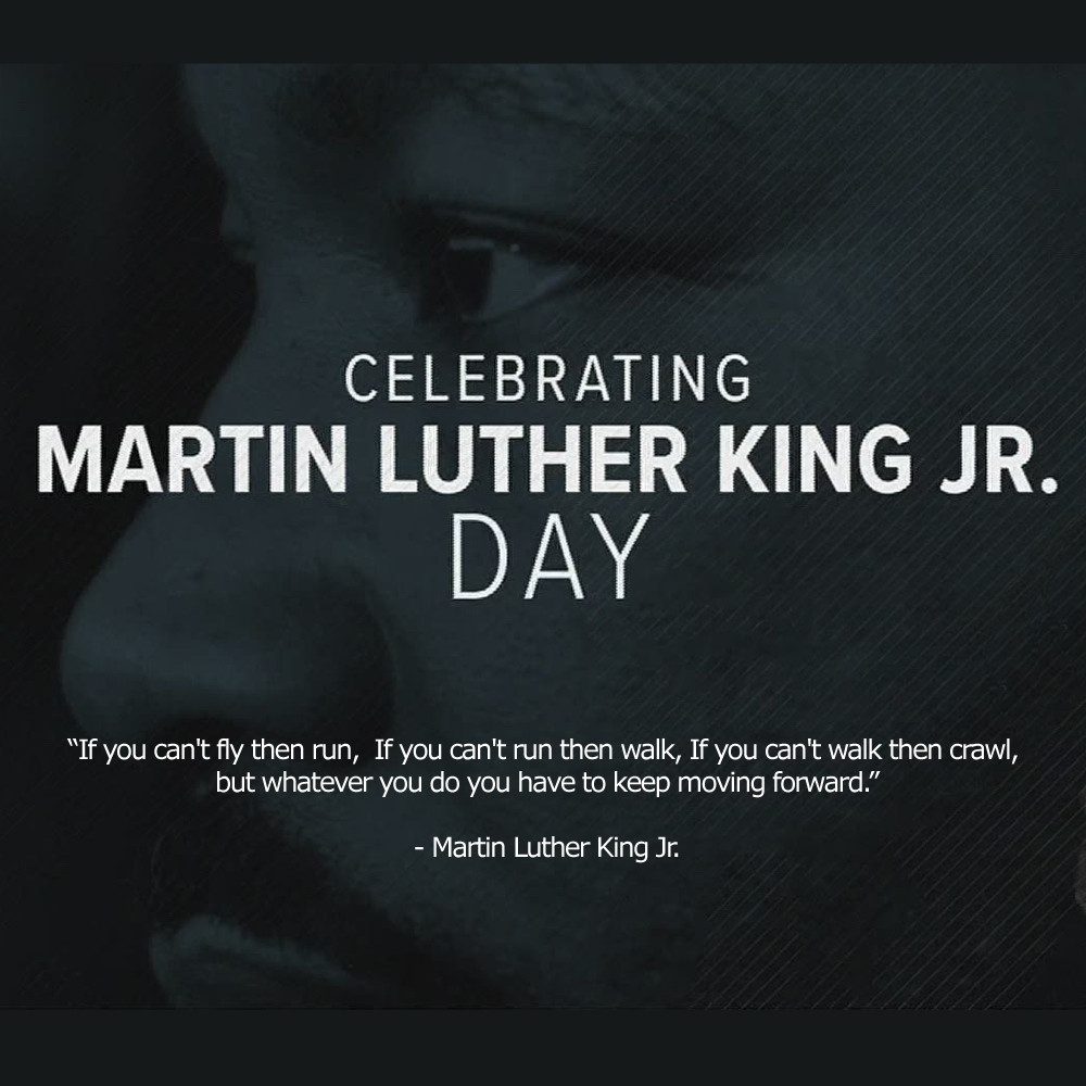 The College Crib Store - Nashville, TN tweet media