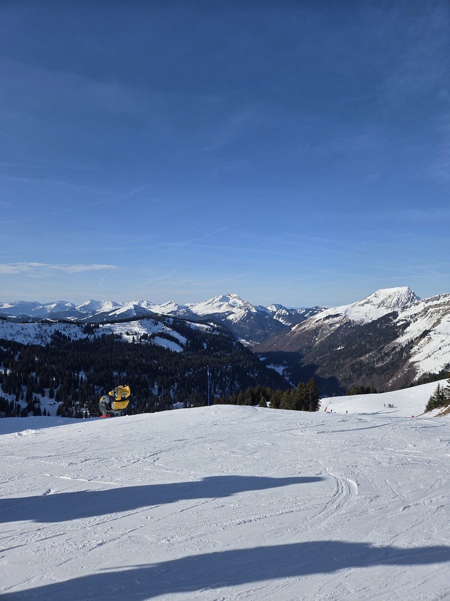 duk 🐔 tweet media