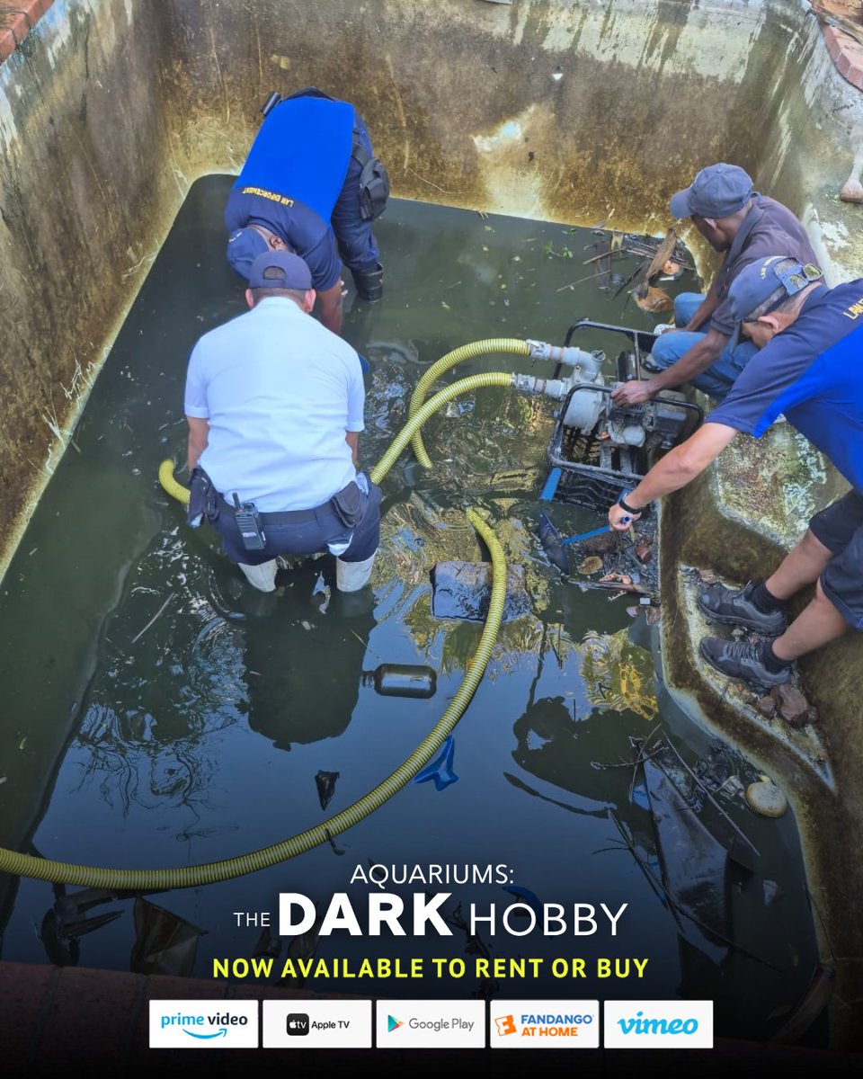 Aquariums: The Dark Hobby tweet media