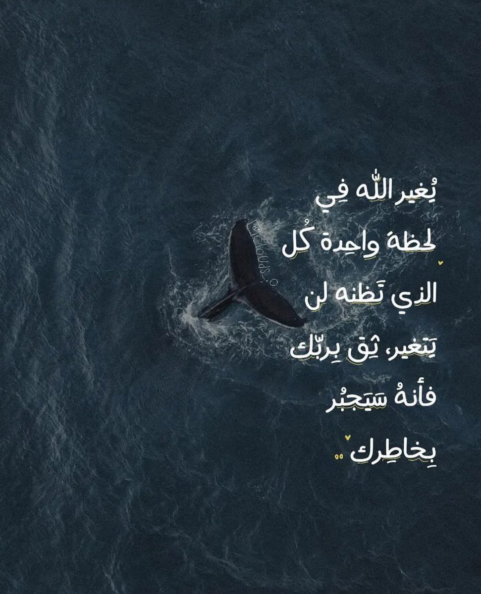 شغف (@48ff_) on Twitter photo 