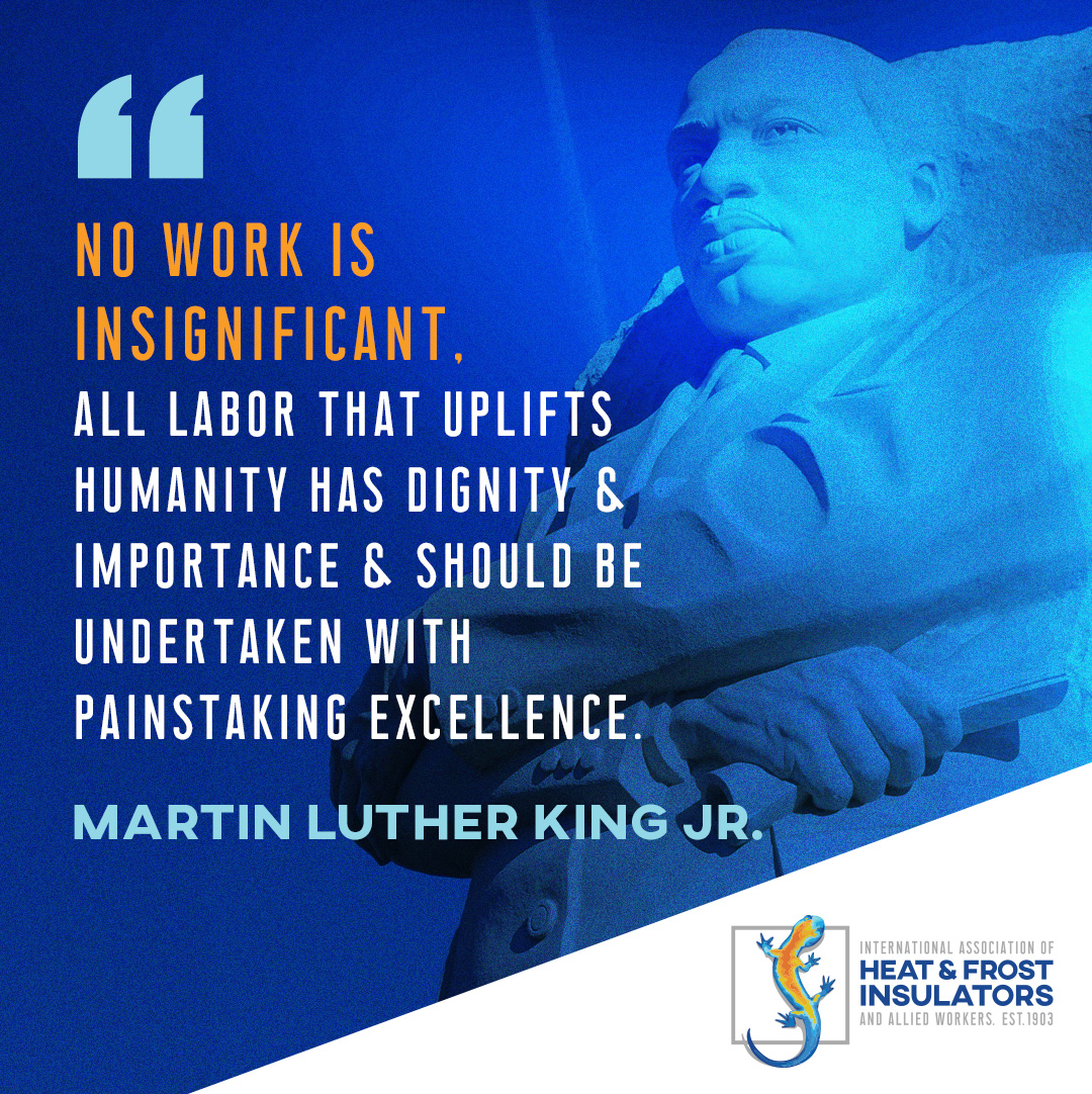 Insulators Union 🦎 tweet media