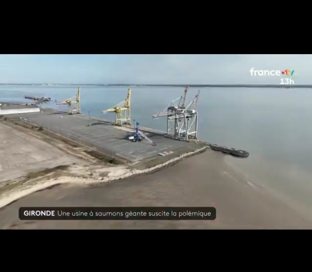 Juan1er's tweet image. "C'est un coin qui est resté sauvage et qu'on apprécie pour ça."
Arrêt sur image à 1'12 ⤵️