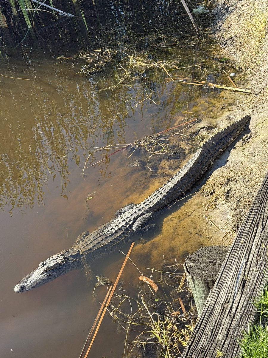 Monday Q Info tweet media