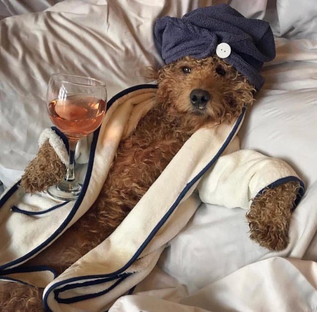 #BBMzanziS6
Since we're in aMAZULU we relaxing this week, will see you next round to Bravo B 🐝🐝🐝 
<a href="/BBMzansi/">Big Brother Mzansi</a>
2M to KZN asidlali laaa