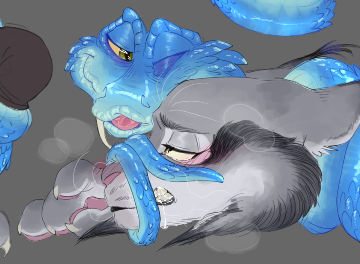 ִֶ 🍅 tweet media