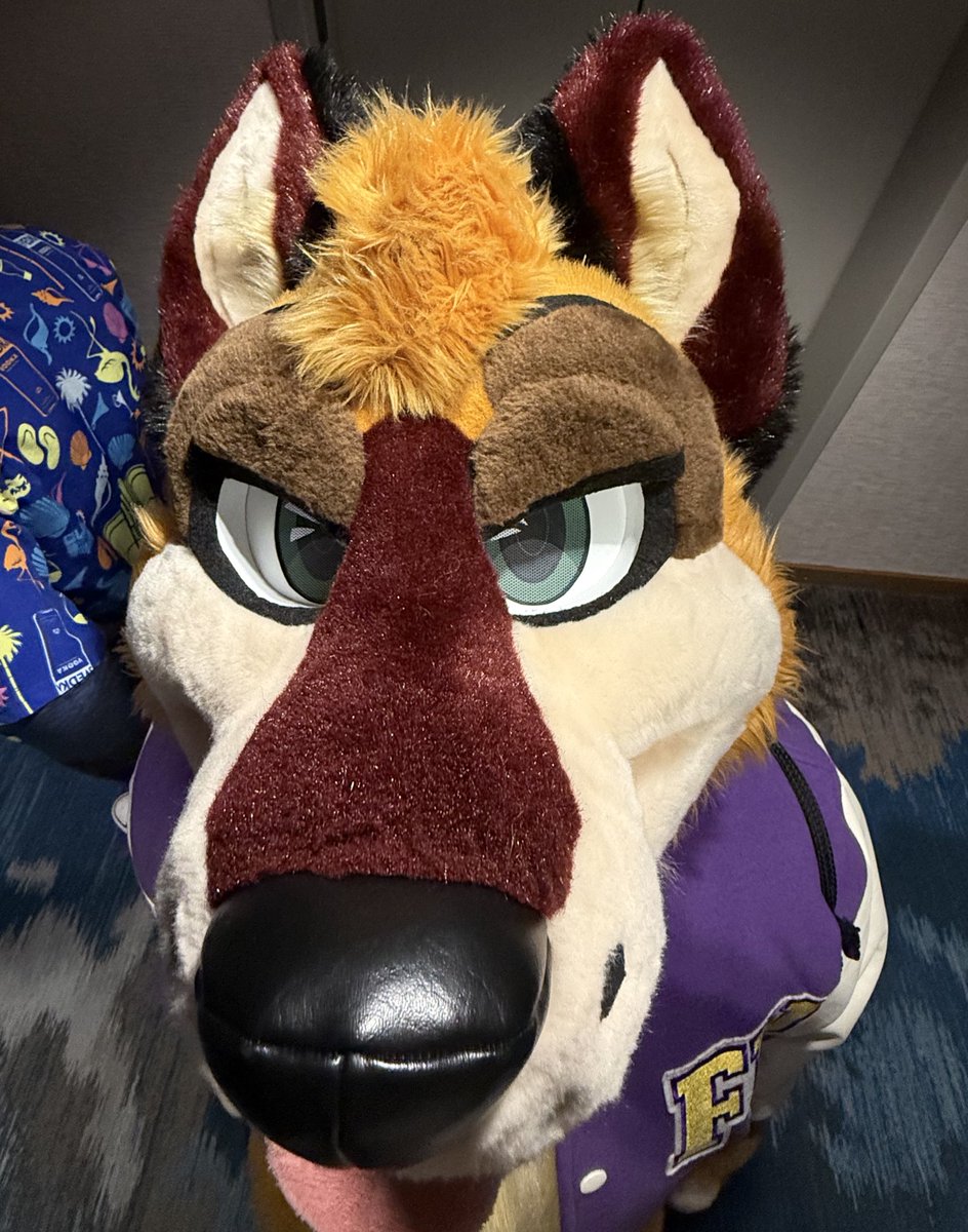 BetaEtaDelota tweet media