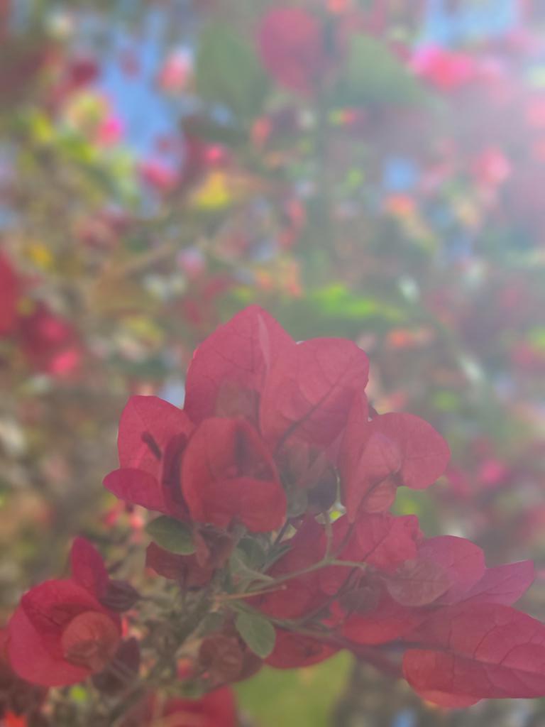 السلام عليكم 
اعطيني عباره حلوه على تصويري كيف 📸