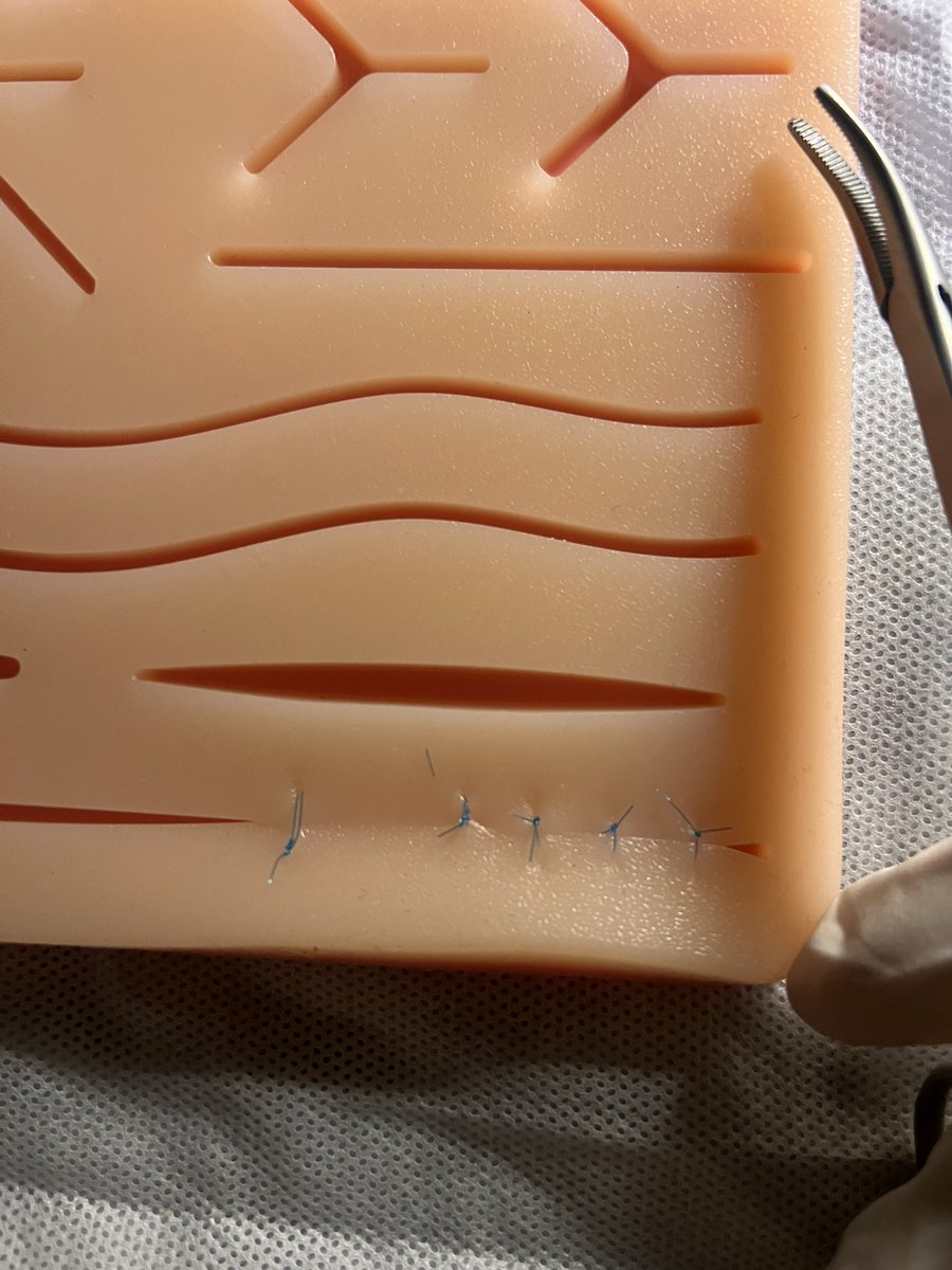 خُلود. tweet media