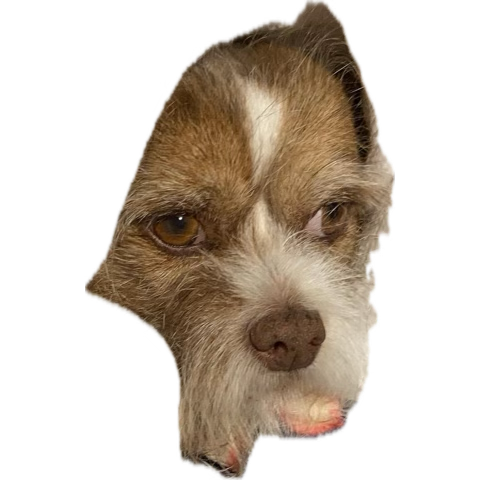 I honestly might come back to post stuff here , no intense RPS but definitely memes and art stuff I make hell maybe even life updates