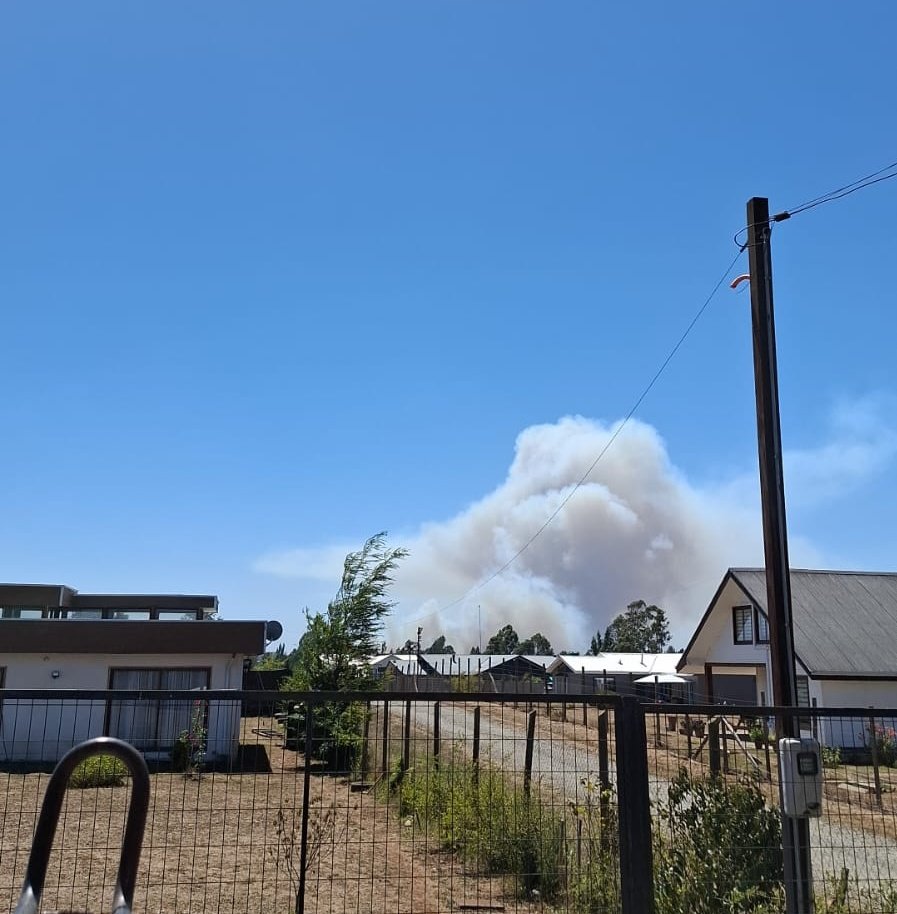 #Cholchol Conoco
#IncendioForestal