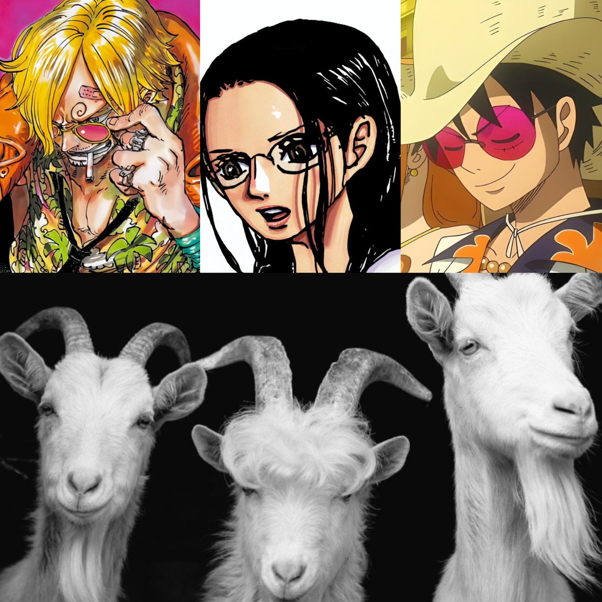 The best written Strawhats Trio