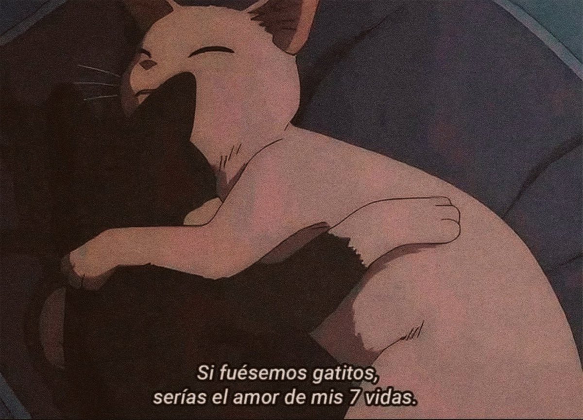 nación (@escritosnacion) on Twitter photo 