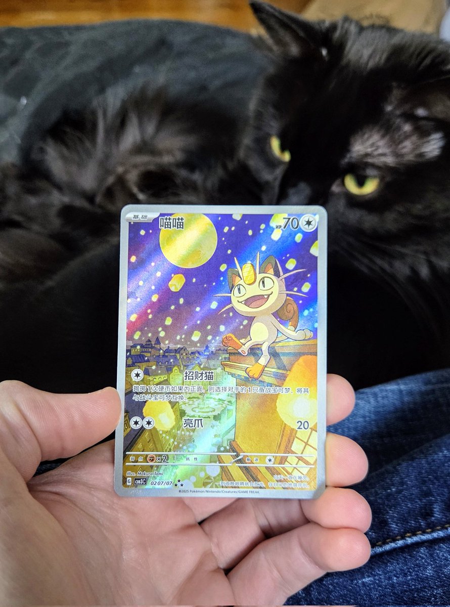 JohnnyCrambo's tweet image. pets &amp;amp; pokemon are everything