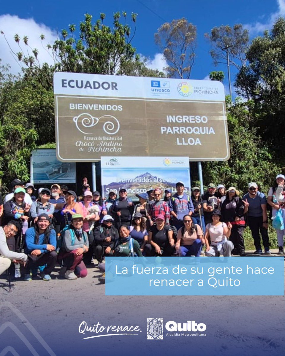 Zona Centro Quito tweet media