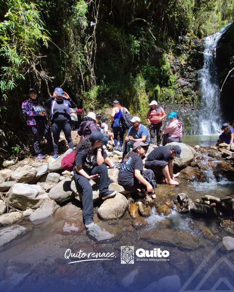 Zona Centro Quito tweet media