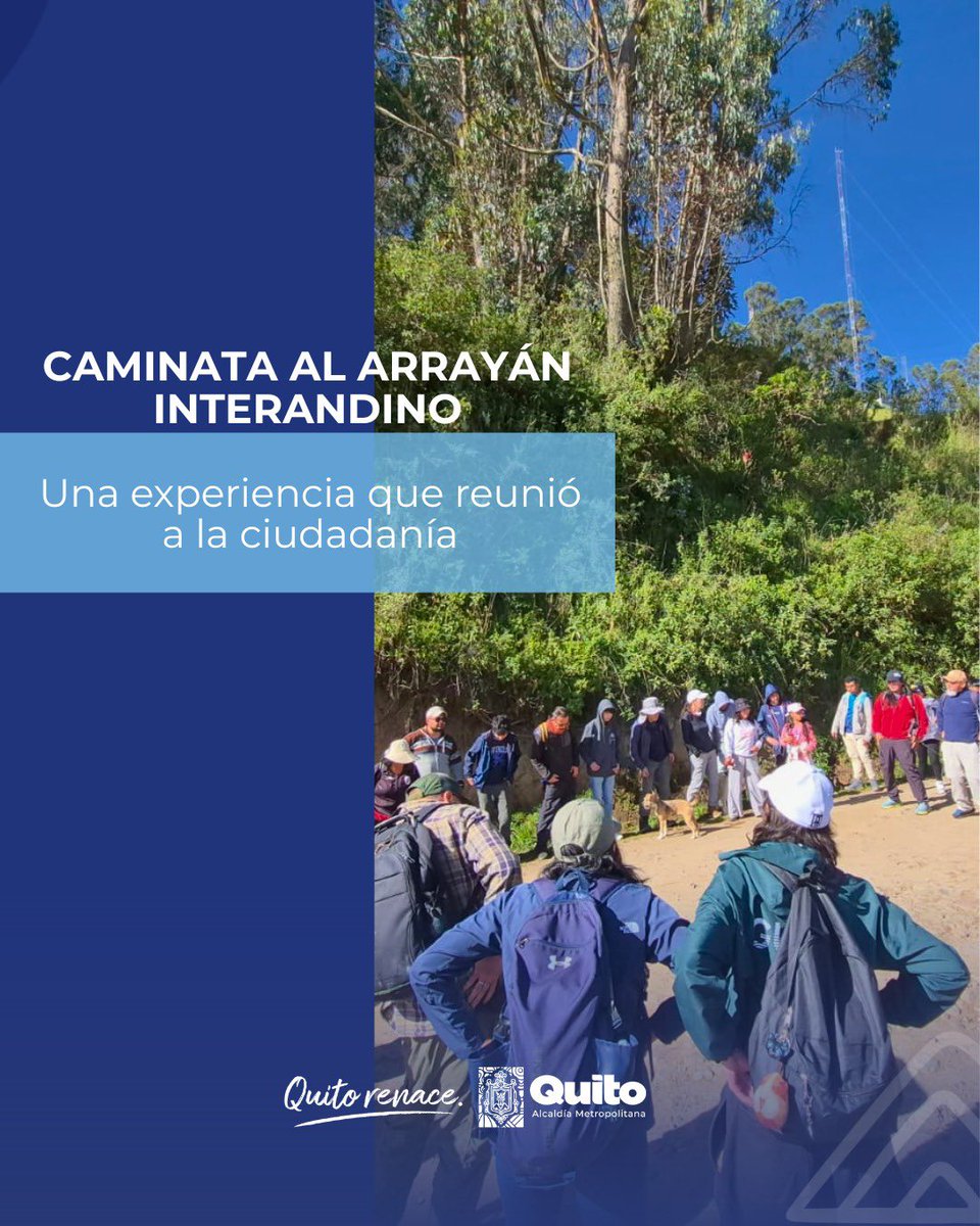 Zona Centro Quito tweet media