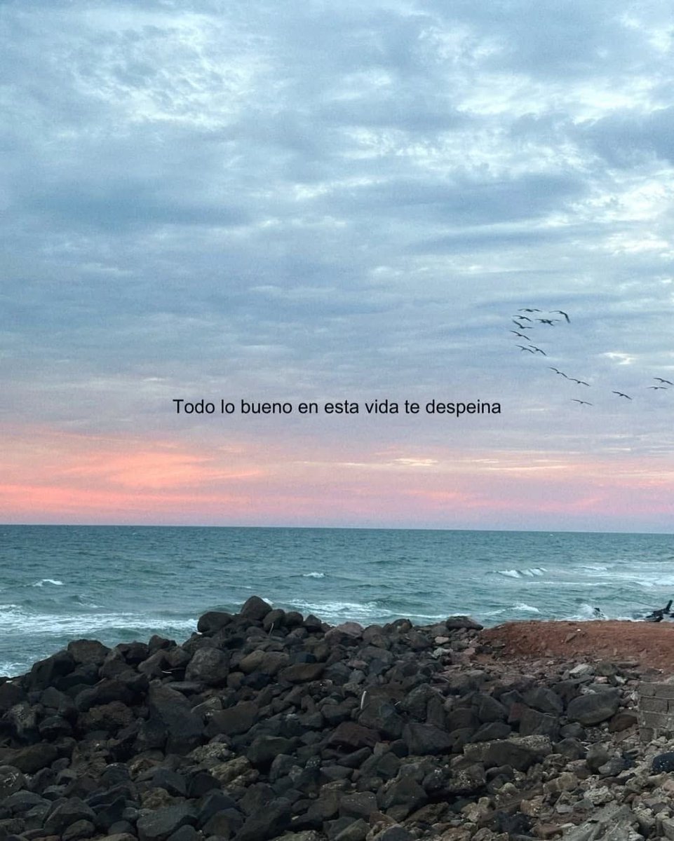 nación (@escritosnacion) on Twitter photo 