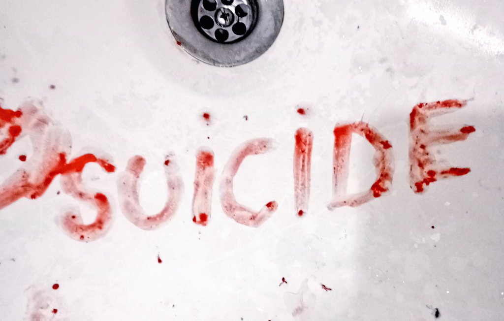 caotic4aa's tweet image. 