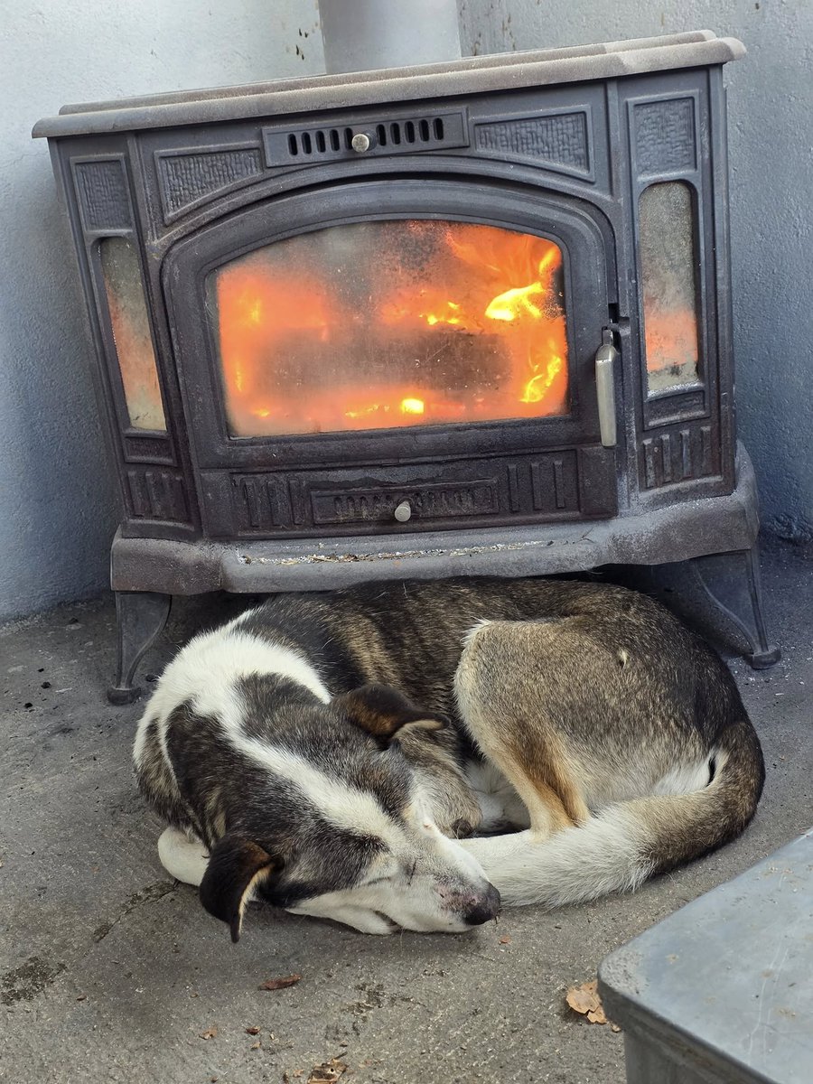 SOS Abuelos tweet media