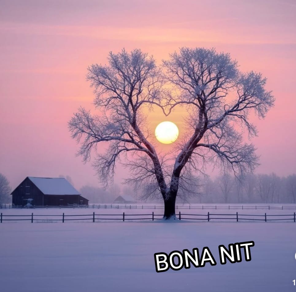 Antoni Walter Castelló i Klein (@antoni_klein) on Twitter photo 