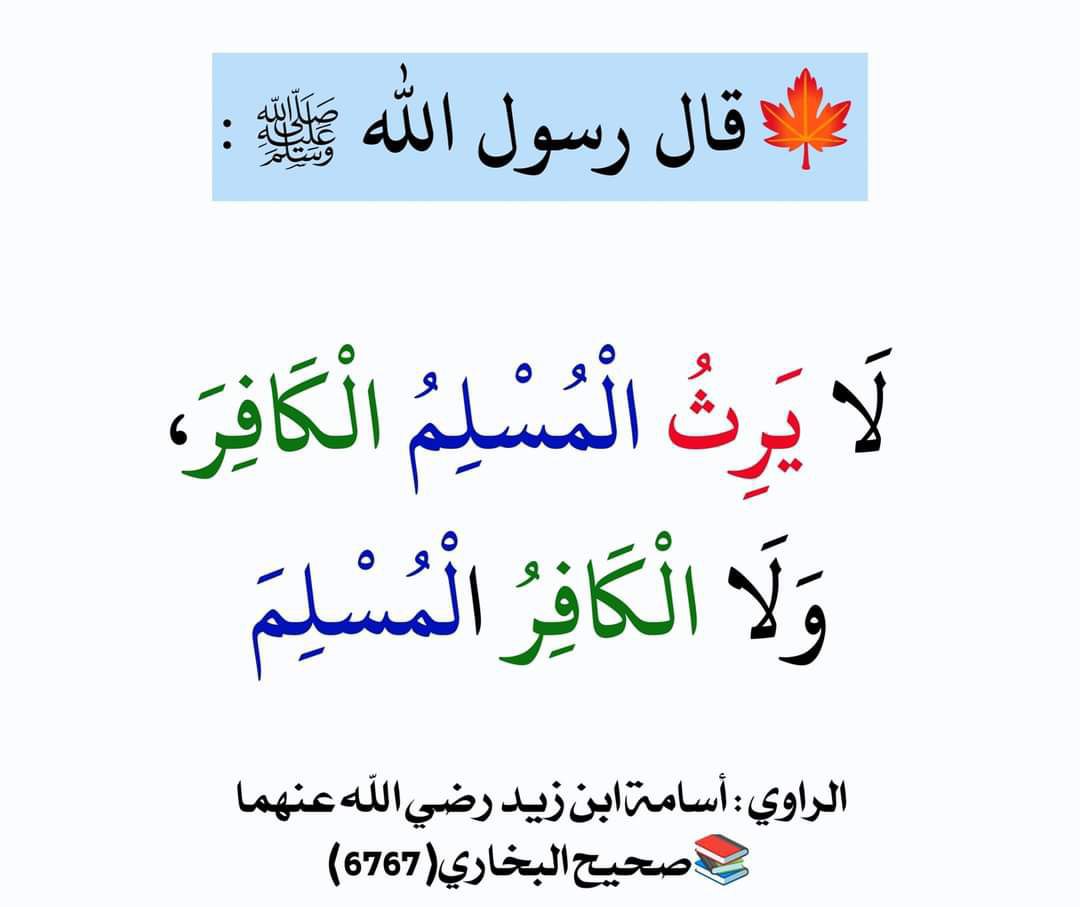 الْحَدِيث النَّبَوِيّ 📚 (@hadith_alnubui) on Twitter photo 