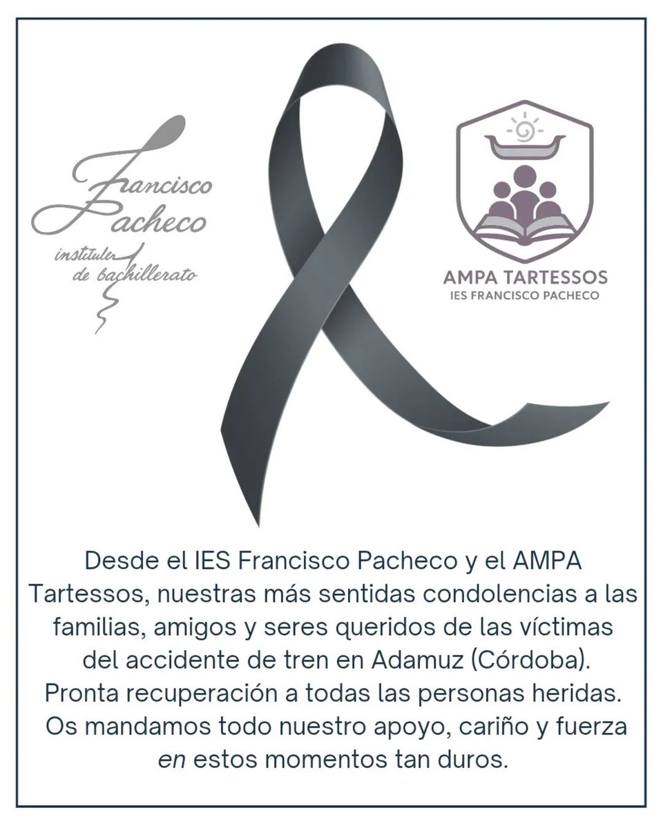 IES FRANCISCO PACHECO tweet media