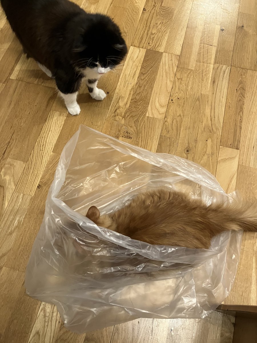 technomysh's tweet image. Агент Купер знаходить Лору Палмер